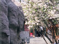 -百花人家(清水镇店)