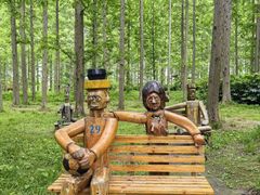 -黄海国家森林公园