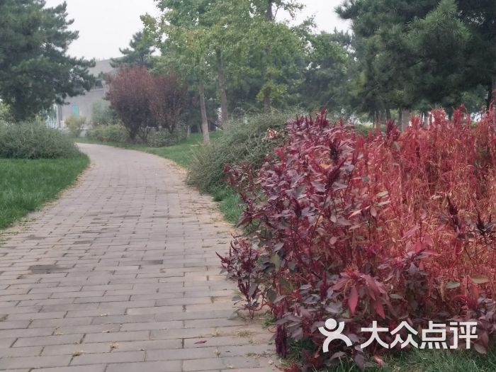 晓月郊野公园图片 - 第4张