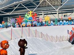 -沈阳奥体冰雪嘉年华