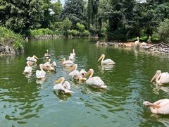 -云南野生动物园