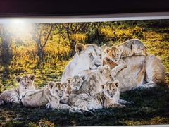 -罗红摄影艺术馆