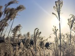 -汉长安城未央宫国家考古遗址公园