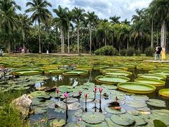 -中国科学院西双版纳热带植物园