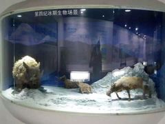 -中国第四纪冰川遗迹陈列馆