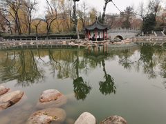 -莲湖公园