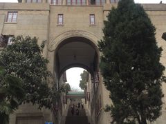 -武汉大学-樱园