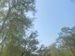 -习家池