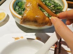 -大鸽饭(岗顶店)