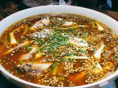 农家土鲫鱼-嘎嘎鸭脑壳江湖菜(五里店)
