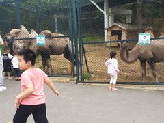 -大连森林动物园