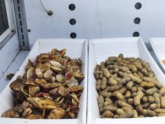 -哈尔滨小酒馆·鲜肉现穿自助烧烤(康新花园店)