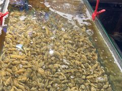 -回香楼大连新派清真菜