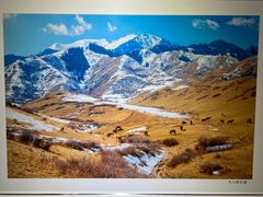 -南湖市民广场-乌鲁木齐美术馆