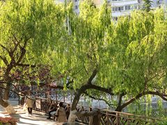 -贮水山儿童公园