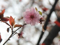 -白塘生态植物园