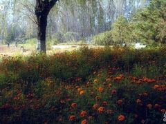 -北京拉斐特城堡酒店