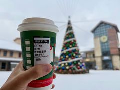 -长白山万达喜来登度假酒店