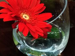 -无锡君来洲际酒店
