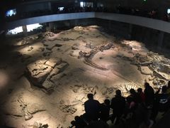 -自贡恐龙博物馆