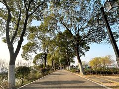 -金银湖国家城市湿地公园