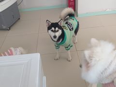 -怪兽屋·羊驼·猫咖·狗咖(俊华广场店)