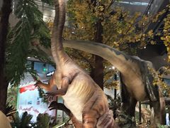 -湖南省地质博物馆