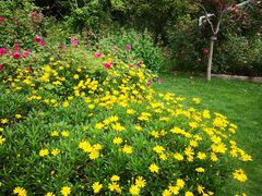 -昆山城市生态森林公园