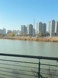 点击看大图 -乐茵敔山湾月子中心(独栋湖景店)