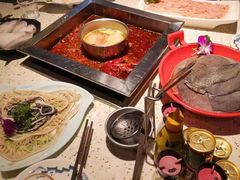 -二荆条·蜀鲜汇城市森林火锅