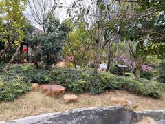 -万象温泉景区