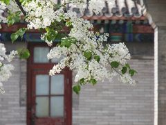 -颐和园