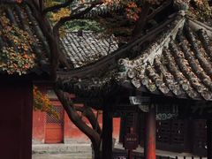 -报恩寺(平武县)