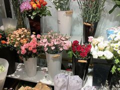 -淘花源花艺鲜花店 开业花篮 绿植(南部商务区店)