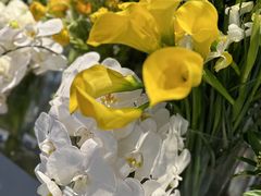 -blt精品超市(KKMALL京基店)