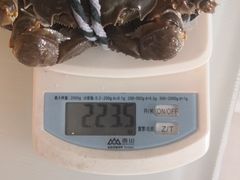 -陈长荣生态大闸蟹(盐城店)