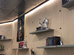 -飞行喵MR PILOT|猫舍·猫咖(静安大融城店)