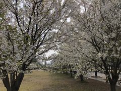 -同济大学(嘉定校区)