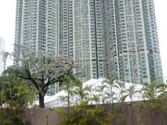 -九龙公园