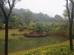 -罗浮山-南楼寺