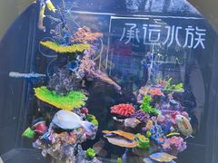 -大自然花鸟鱼虫市场