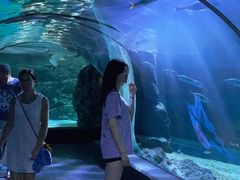 -暹罗海洋世界