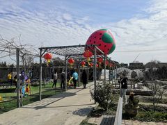 -小鱼草莓采摘园农家乐·小鱼餐厅