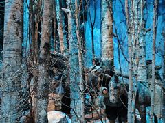 -沈阳“九·一八”历史博物馆