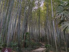 -南山风景名胜区