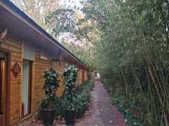 -阿斯牛牛十二餐厅•四季餐厅(民族大道店)