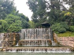 -成飞公园