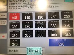 -台场海滨公园船码头