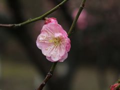 -盘门景区