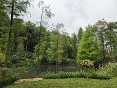 -云溪植物园